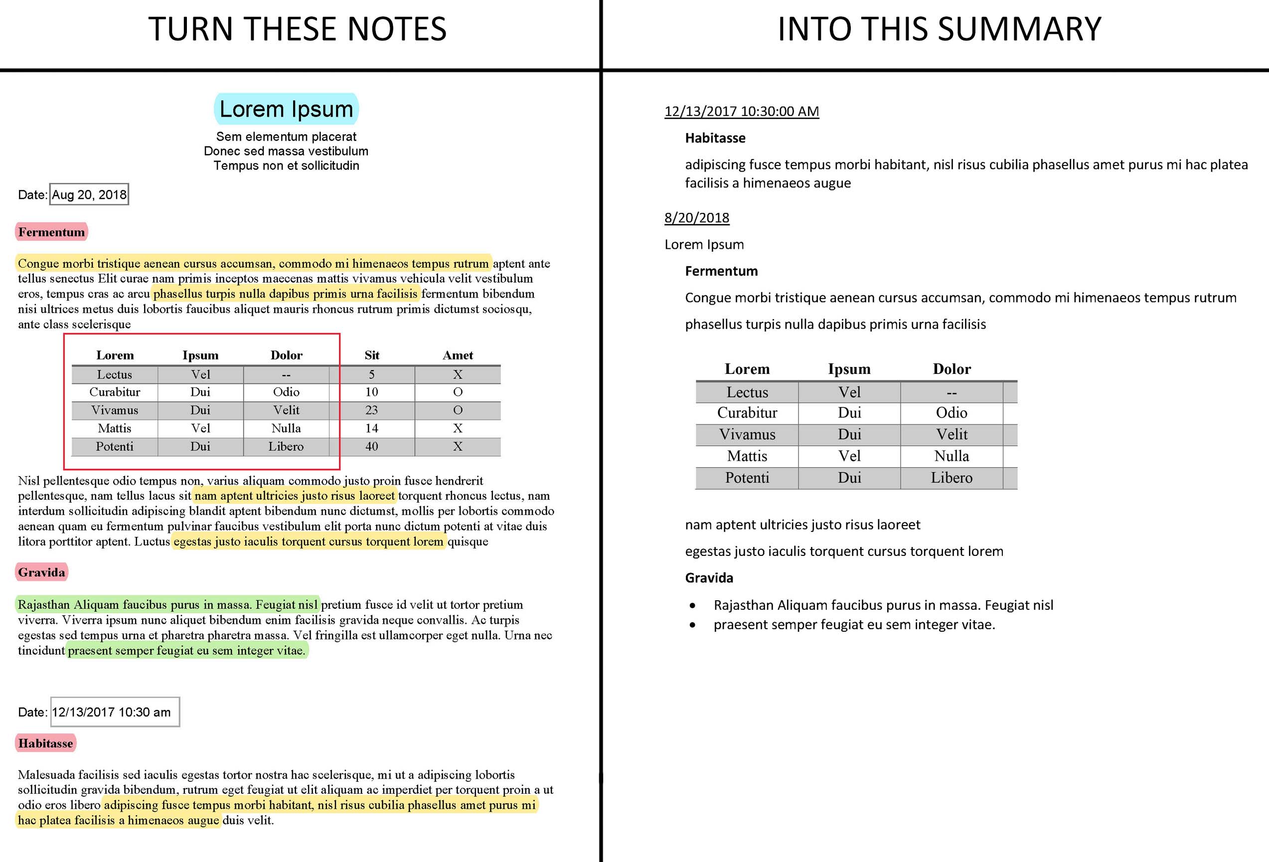 Dated record summary